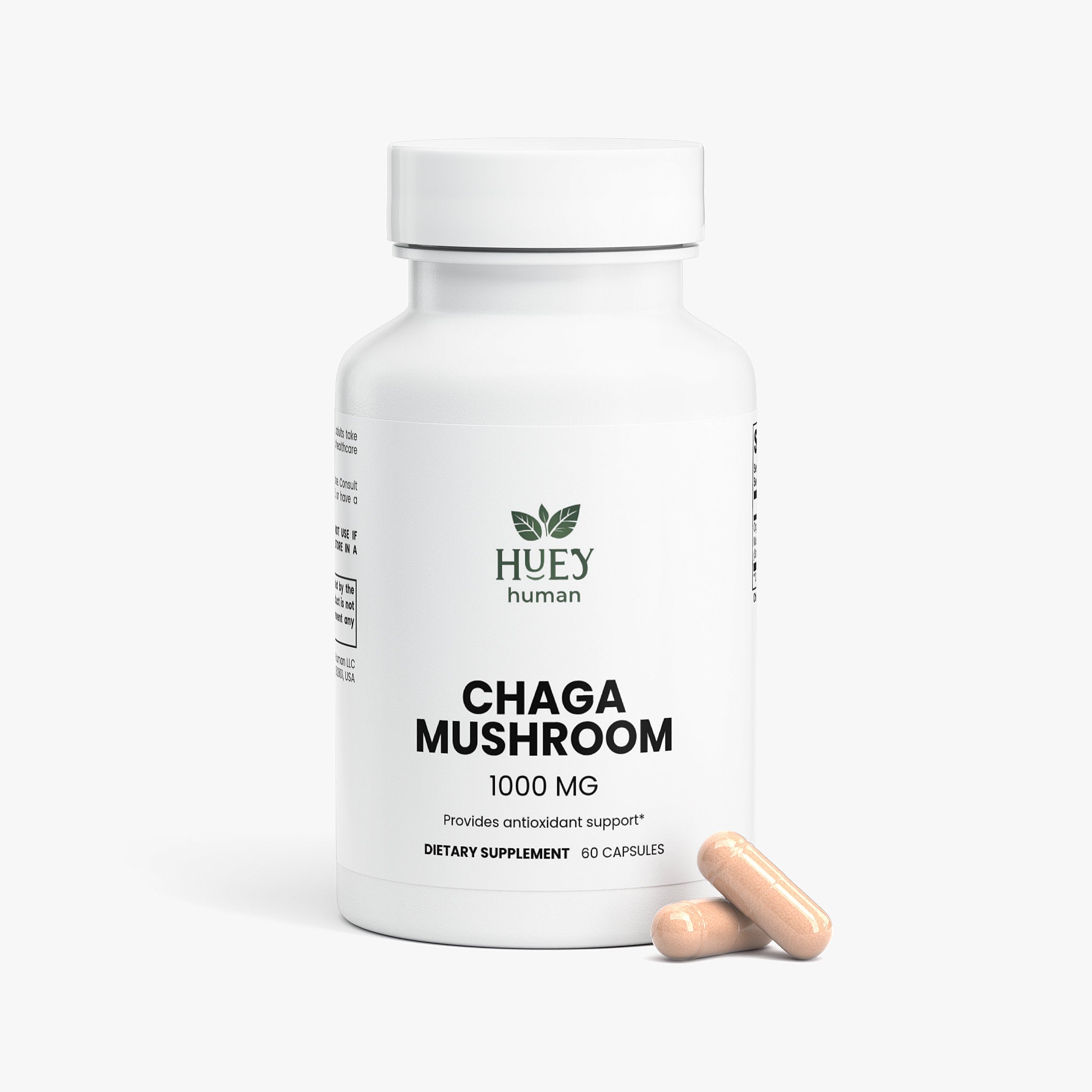 Chaga Mushroom